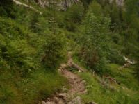 2014-08-02_06FritzPflaum-Steig (388).JPG